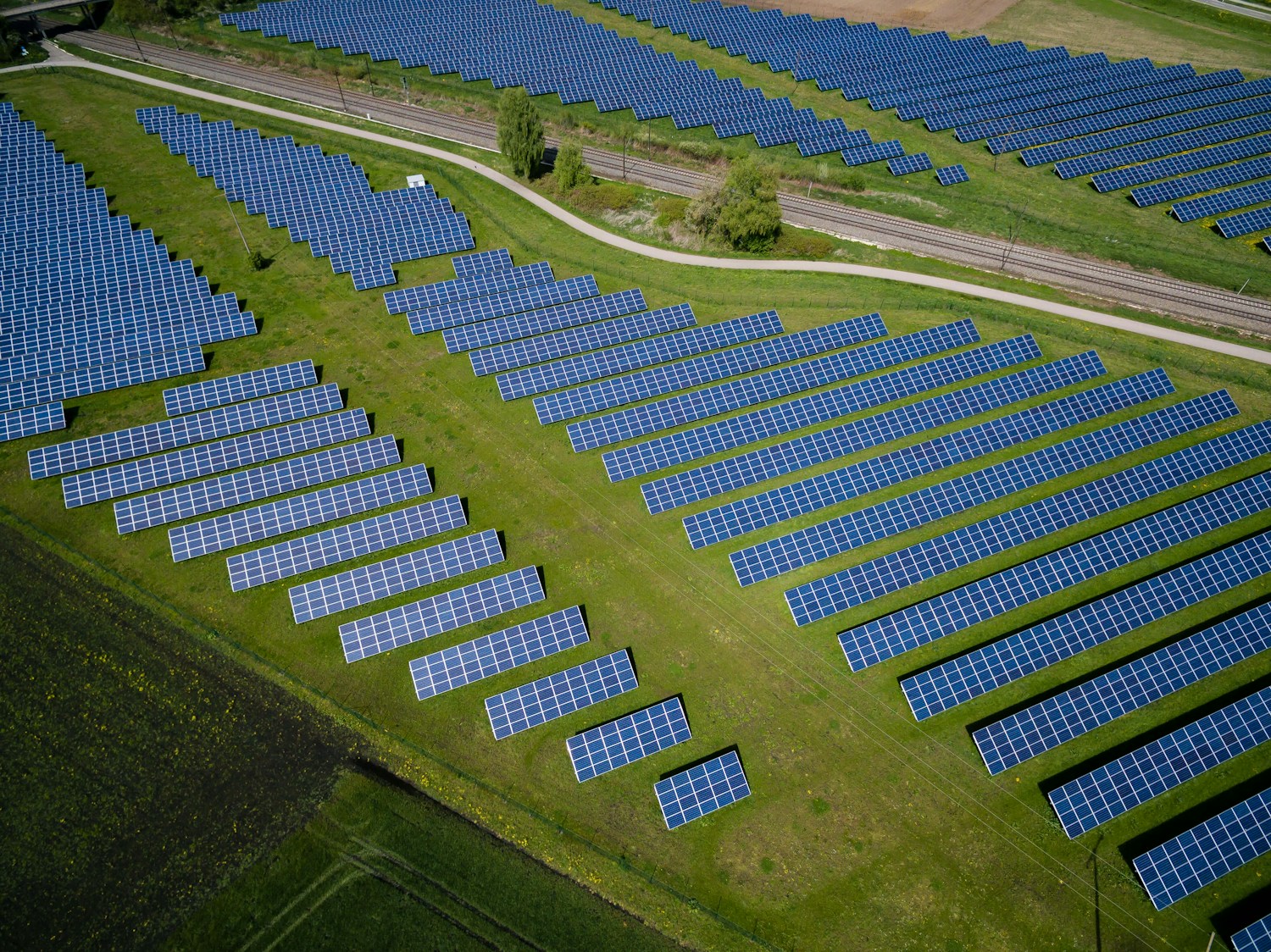 Renewable energy and sustainable business growth